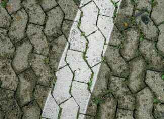 Laminat Parke Fiyatları Hangi Kalite Daha Avantajlı? Laminat Parke Fiyatları Hangi Kalite Daha Avantajlı?