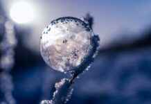 Magnum Fiyat Ne Kadar? Marketlerde Güncel Liste Magnum Fiyat Ne Kadar? Marketlerde Güncel Liste