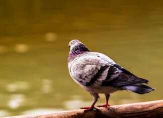Makine Mühendisi Alım İlanları ve Şartları Makine Mühendisi Alım İlanları ve Şartları