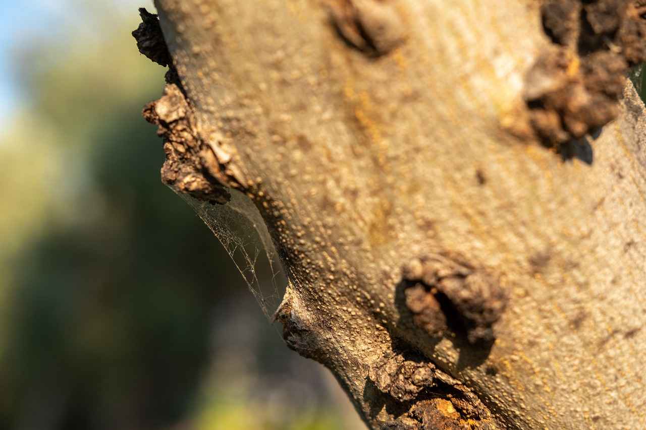 Makine Teknisyeni Olarak İş Ağı Kurma