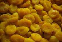 Malatya Altın Fiyatları Bugün Ne Durumda? Malatya Altın Fiyatları Bugün Ne Durumda?