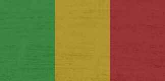 Mali Hizmetler Uzmanı Alım İlanları ve Şartları Mali Hizmetler Uzmanı Alım İlanları ve Şartları