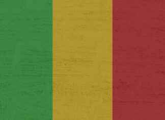 Mali Hizmetler Uzmanı Alım İlanları ve Şartları Mali Hizmetler Uzmanı Alım İlanları ve Şartları