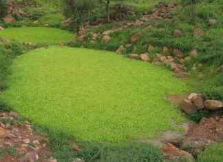 Mali Müşavir Kamuda Alım İlanları ve Şartları Mali Müşavir Kamuda Alım İlanları ve Şartları