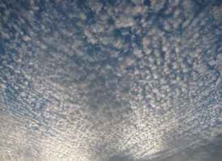 Meteoroloji Uzmanı Alım İlanları ve Şartları Meteoroloji Uzmanı Alım İlanları ve Şartları