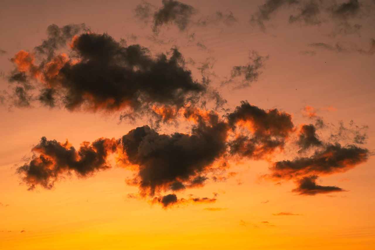 Kariyer Olanakları ve İstihdam Alanları