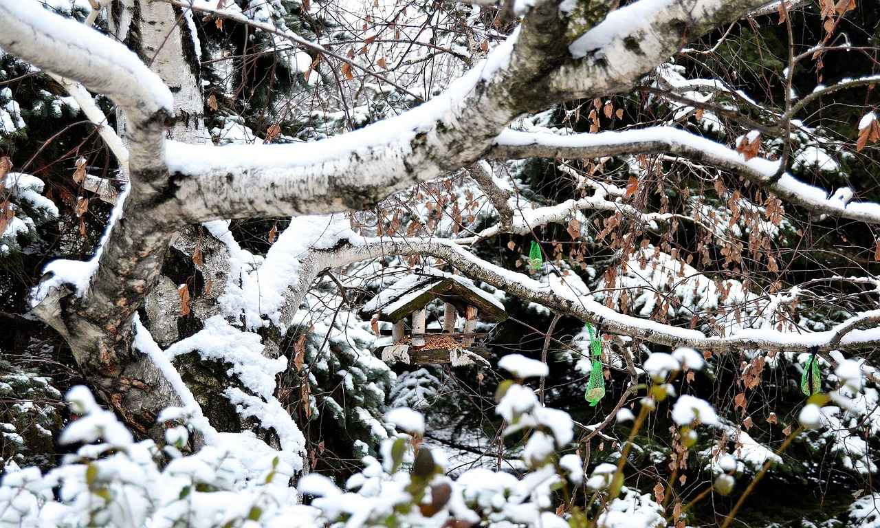 Meteoroloji Uzmanı Olmak İçin Gereken Eğitim