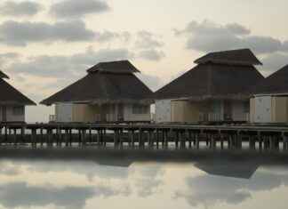 Milli Eğitim Bakanlığı Memur Alım İlanları ve Memur Alım Şartları Milli Eğitim Bakanlığı Memur Alım İlanları ve Memur Alım Şartları