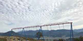 Muhabbet Kuşu Fiyatları ve Türlerine Göre Değişen Aralıklar Muhabbet Kuşu Fiyatları ve Türlerine Göre Değişen Aralıklar