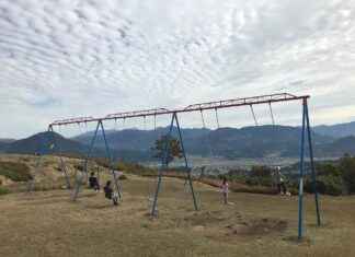 Muhabbet Kuşu Fiyatları ve Türlerine Göre Değişen Aralıklar Muhabbet Kuşu Fiyatları ve Türlerine Göre Değişen Aralıklar