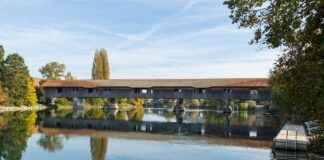 Müzik Öğretmeni Alım İlanları ve Şartları Müzik Öğretmeni Alım İlanları ve Şartları