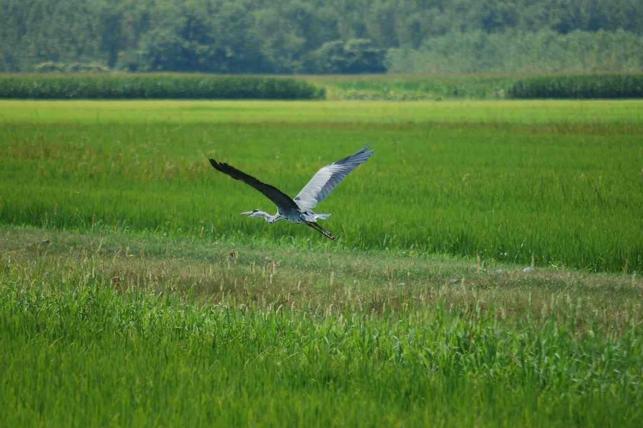 Müzik Öğretmeni Maaşları Ne Kadar?