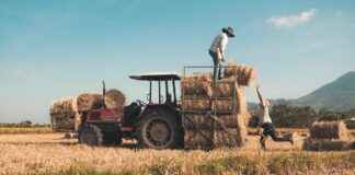 New Holland Fiyat Listesi ile Tarımda En İyi Yatırımı Yapın New Holland Fiyat Listesi ile Tarımda En İyi Yatırımı Yapın