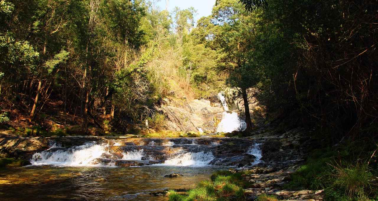 Nükleer Tıp Uzmanı Olmak İçin Gereken Şartlar