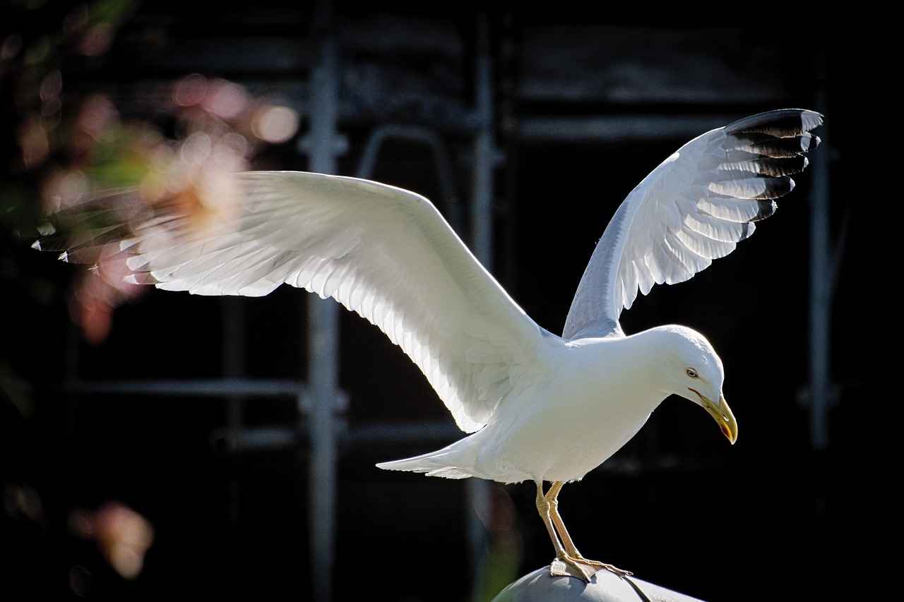 Öğretmen Memur Alım İlanları ve Şartları 5 Öğretmen Alımında Dikkat Edilmesi Gerekenler