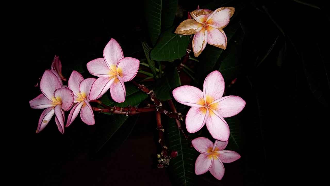 Öğretmen Yardımcısı Alım İlanları ve Şartları 1 Öğretmen Yardımcısı Nedir?