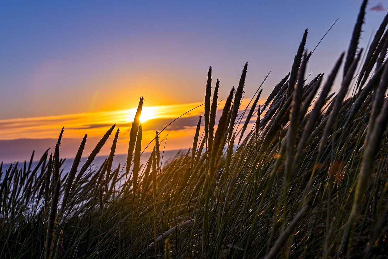 Okul Yönetici Yardımcısı Alım İlanları ve Şartları 3 Okul Yönetici Yardımcısı Olmak İçin Gerekli Şartlar