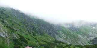 Ordu Fındık Fiyatı Günlük Olarak Nereden Takip Edilir? Ordu Fındık Fiyatı Günlük Olarak Nereden Takip Edilir?