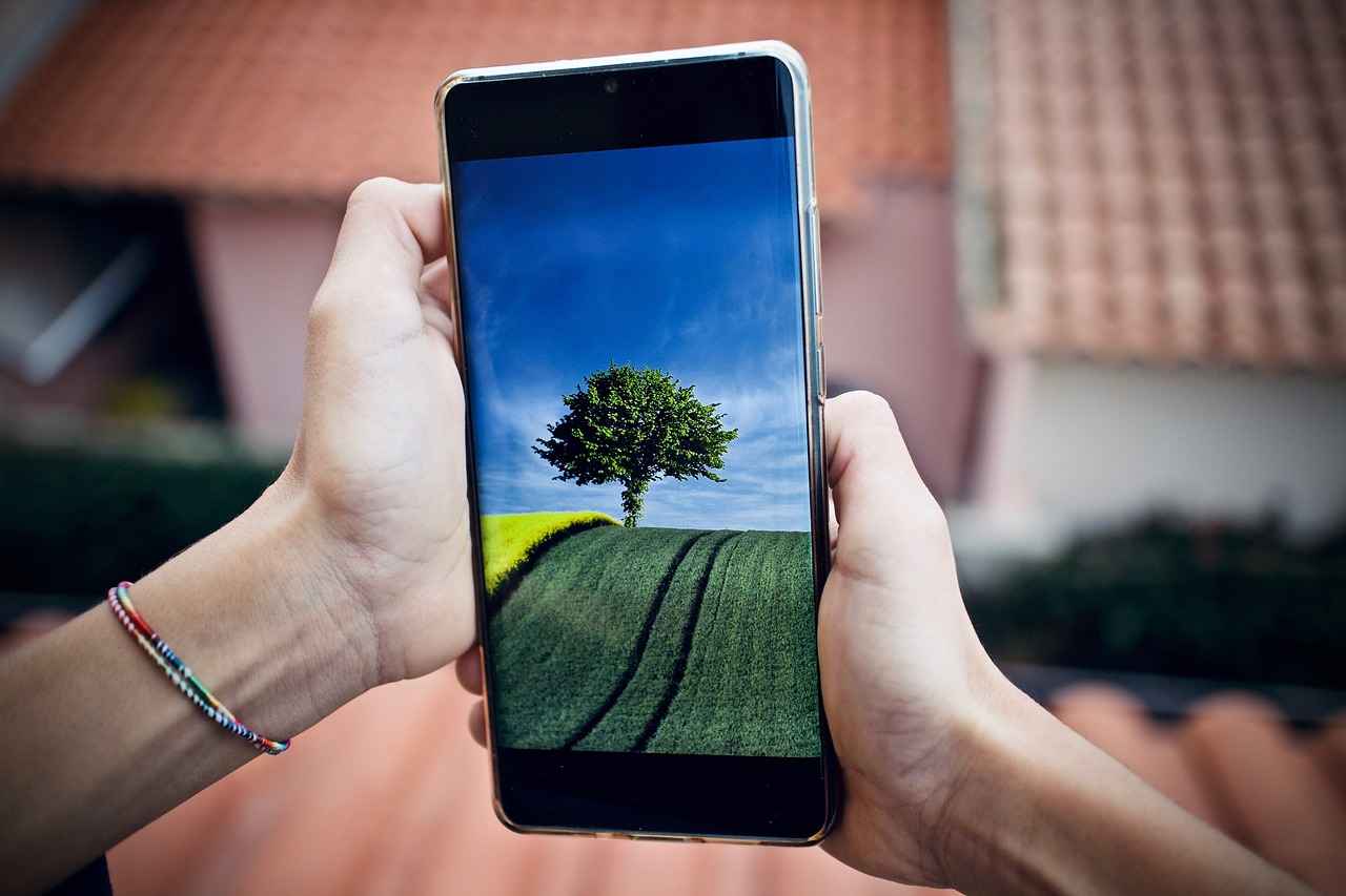 Ordu Fındık Fiyatı Günlük Olarak Nereden Takip Edilir? 2 Günlük Fındık Fiyatı Takip Yöntemleri