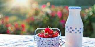 Organik Kimya Uzmanı Alım İlanları ve Şartları Organik Kimya Uzmanı Alım İlanları ve Şartları