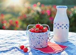 Organik Kimya Uzmanı Alım İlanları ve Şartları Organik Kimya Uzmanı Alım İlanları ve Şartları