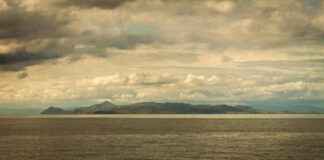 Orman Genel Müdürlüğü Memur Alım İlanları ve Memur Alım Şartları Orman Genel Müdürlüğü Memur Alım İlanları ve Memur Alım Şartları