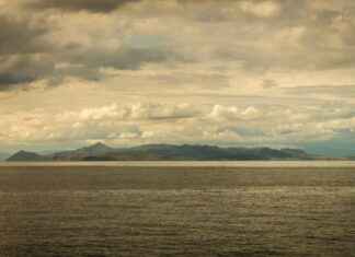 Orman Genel Müdürlüğü Memur Alım İlanları ve Memur Alım Şartları Orman Genel Müdürlüğü Memur Alım İlanları ve Memur Alım Şartları