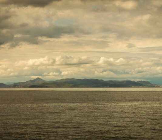 Orman Genel Müdürlüğü Memur Alım İlanları ve Memur Alım Şartları Orman Genel Müdürlüğü Memur Alım İlanları ve Memur Alım Şartları