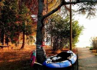 Orman Mühendisi Alım İlanları ve Şartları Orman Mühendisi Alım İlanları ve Şartları