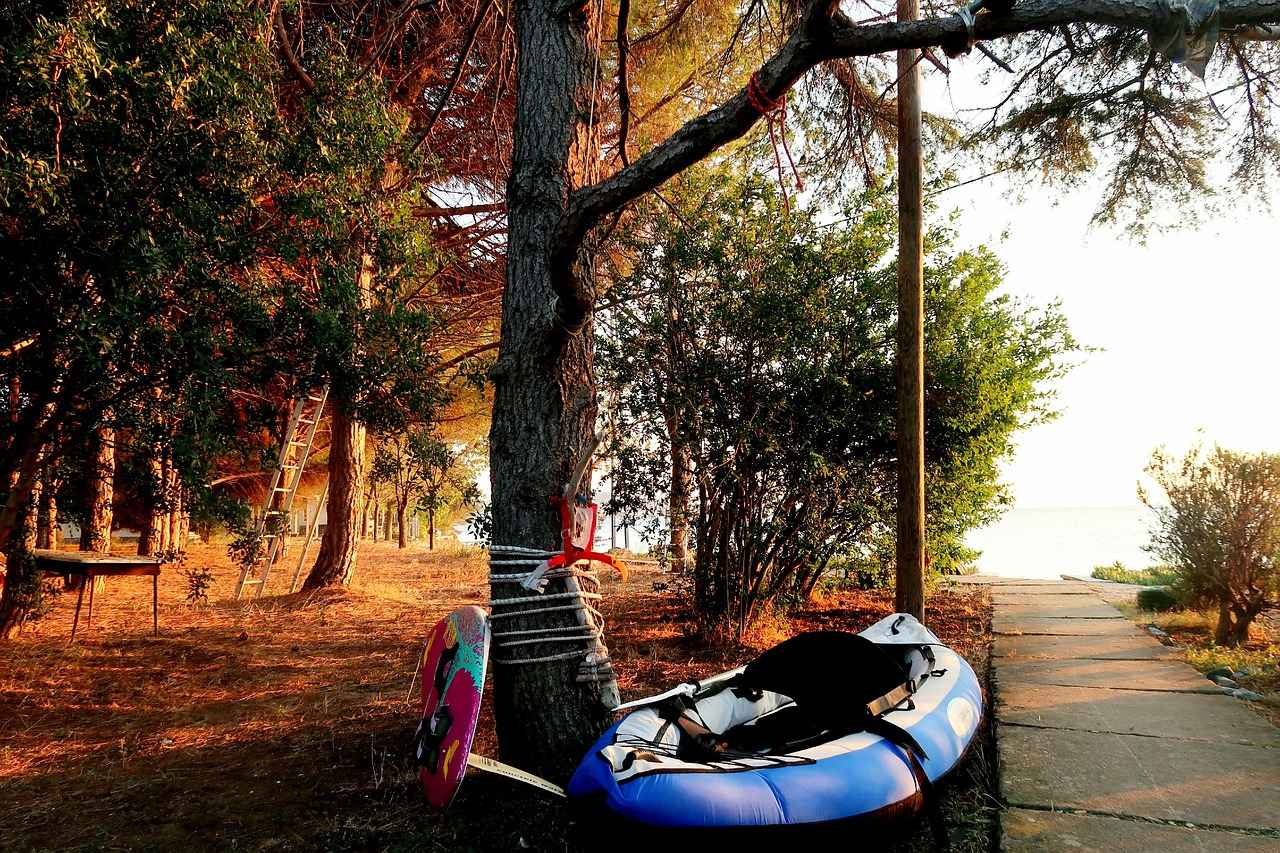 Orman Mühendisi Alım İlanları ve Şartları 11 Orman Mühendisi İçin Sertifikalar ve Sürekli Eğitim