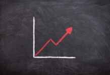 Papağan Fiyatları Hangi Tür Ne Kadar? Papağan Fiyatları Hangi Tür Ne Kadar?