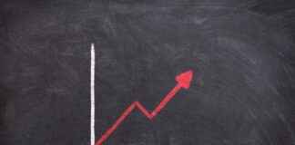 Papağan Fiyatları Hangi Tür Ne Kadar? Papağan Fiyatları Hangi Tür Ne Kadar?