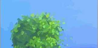 Polis Memuru Alım İlanları ve Şartları Polis Memuru Alım İlanları ve Şartları