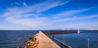 Psikolog Memur Alım İlanları ve Şartları Psikolog Memur Alım İlanları ve Şartları