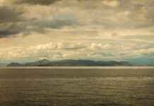 PTT Memur Alım İlanları ve Memur Alım Şartları PTT Memur Alım İlanları ve Memur Alım Şartları