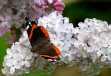 RTÜK Memur Alım İlanları ve Memur Alım Şartları RTÜK Memur Alım İlanları ve Memur Alım Şartları