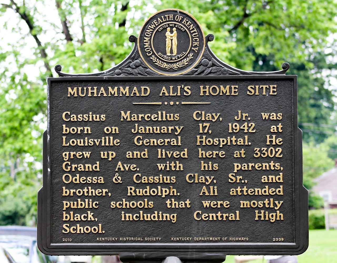 Sağlık Teknikeri Olmak İçin Gereken Eğitim