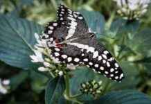 Sanayi ve Teknoloji Bakanlığı Memur Alım İlanları ve Memur Alım Şartları Sanayi ve Teknoloji Bakanlığı Memur Alım İlanları ve Memur Alım Şartları