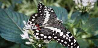 Sanayi ve Teknoloji Bakanlığı Memur Alım İlanları ve Memur Alım Şartları Sanayi ve Teknoloji Bakanlığı Memur Alım İlanları ve Memur Alım Şartları