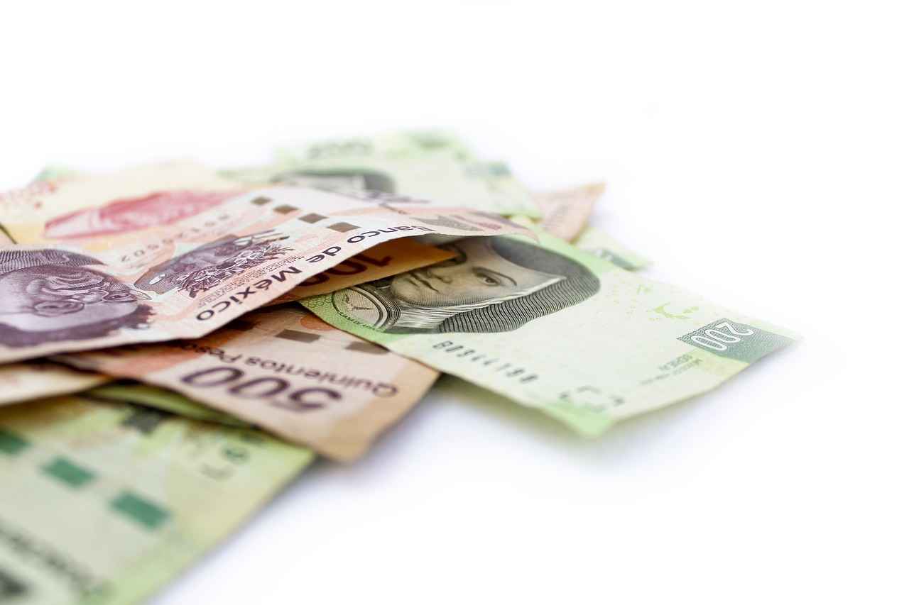 Denetçi Olmak İçin Gerekli Eğitim ve Nitelikler