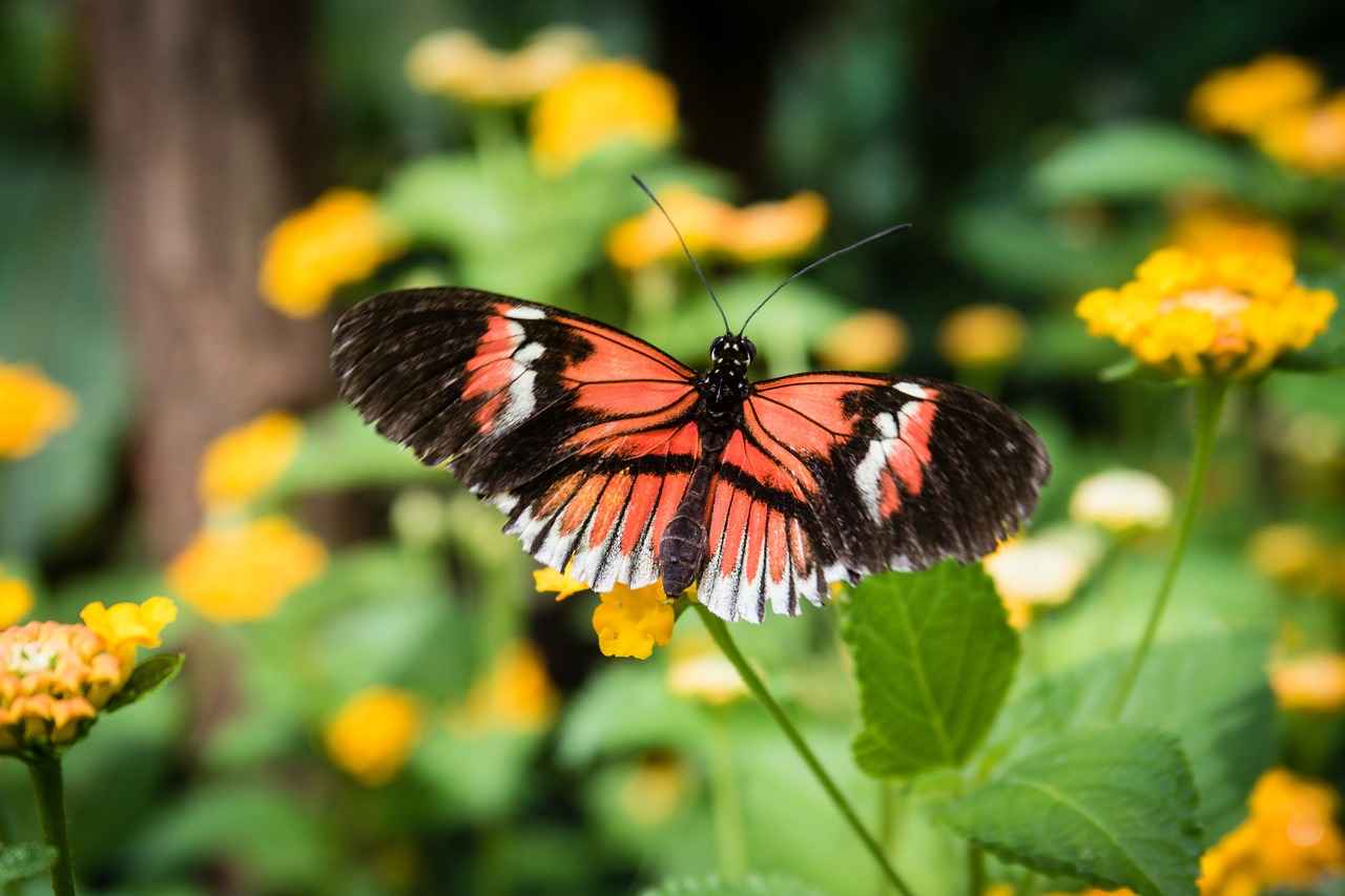 Sekreter Memur Olmanın Avantajları