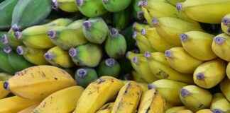 Serik Hal Fiyatları Güncel Liste Nereden Takip Edilir? Serik Hal Fiyatları Güncel Liste Nereden Takip Edilir?