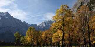 Sıfır Engelli Araç Fiyatları Hangi Marka Daha Ekonomik? Sıfır Engelli Araç Fiyatları Hangi Marka Daha Ekonomik?