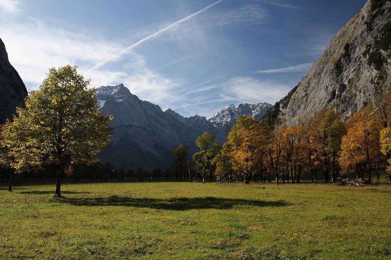 Sıfır Engelli Araç Fiyatları Hangi Marka Daha Ekonomik? 7 Sonuç Olarak