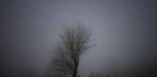 Sineklik Fiyatları Ne Kadar? Evinizi Korumanın Ekonomik Yolu Sineklik Fiyatları Ne Kadar? Evinizi Korumanın Ekonomik Yolu