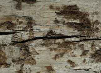 Sinema Bilet Fiyatları Neden Sürekli Artıyor? Sinema Bilet Fiyatları Neden Sürekli Artıyor?