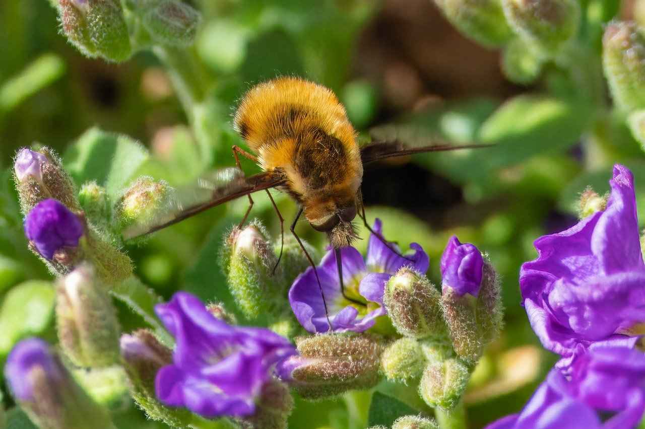Sistem Uzmanı Alım Süreci