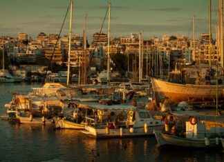 Şoför Memur Alım İlanları ve Şartları Şoför Memur Alım İlanları ve Şartları