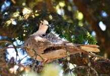 SPK Memur Alım İlanları ve Memur Alım Şartları SPK Memur Alım İlanları ve Memur Alım Şartları