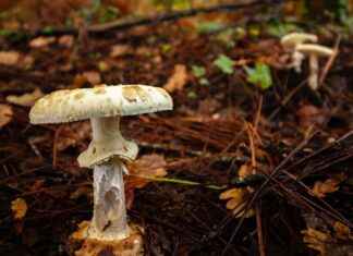 Spor Yöneticisi Alım İlanları ve Şartları Spor Yöneticisi Alım İlanları ve Şartları